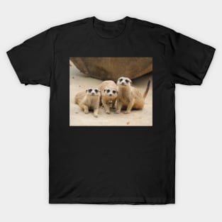 Our Cuteness Comes In A Package Deal, 3 For 1! T-Shirt